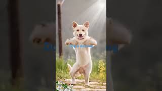 DOG IS DANCING kumitanngwalangpuhunan [upl. by Vizzone974]