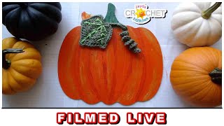 Mixed Media Pumpkin Crochet amp Painting  September 16 2024 – Jayda InStitches LIVE [upl. by Rellia]