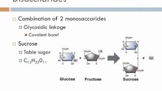 carbohydrate biochemistry  classification of carbohydrate biochemistry  structure of carbohydrate [upl. by Ysset886]