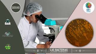 LAS BACTERIAS ¿ALIADAS O ENEMIGAS Parte 1 [upl. by Ettevol]