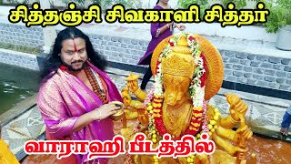 🔥 சித்தஞ்சி சிவகாளி சித்தர் ஸ்திரிஸ்தலம் வாராஹி பீடத்தில் SRI CHAKRAM BAKTHI [upl. by Laefar]