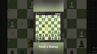 57 Seconds Checkmate with Bishop and Rook [upl. by Cassius296]