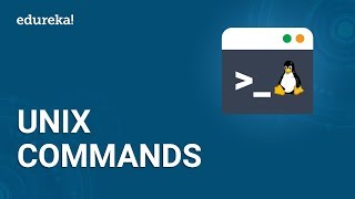 Basic UNIX Commands  UNIX Shell Commands Tutorial for Beginners  UNIX Training  Edureka [upl. by Inahteb769]