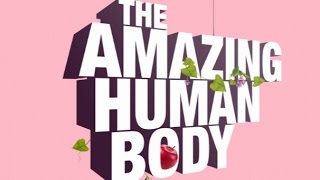 The Amazing Human Body [upl. by Rey]