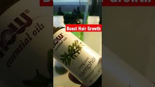 Better than Rosemary Oil for HAIR Growth hairloss [upl. by Sawyer432]