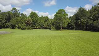 Debary Disc Golf Course  River City Nature Park  Alpha Hole 1 [upl. by Yrffej]