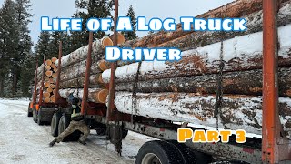 Part 3Winter Log Truck HaulingLog TrucksDrivingTrucksTrucksLogging [upl. by Burgener]