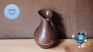 Humidificador Mini Atomization Humidifier Review [upl. by Ehgit242]