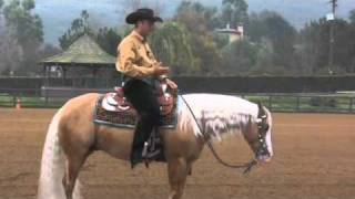 Reining 101  Andrea Fappani [upl. by Eibloc]