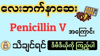 လေးဘက်နာဆေး Penicillin V အကြောင်းသေချာ သိချင်ရင် ဒီဗီဒီယိုကို ကြည့်ပါ [upl. by Neve]