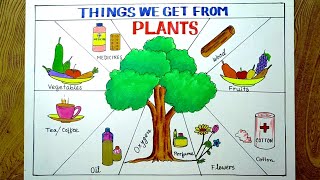 Things we get from plants drawingThings we get from trees drawing easily for beginners [upl. by Betty]