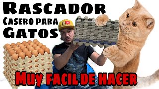 Rascador para Gatos CASERO HECHO CON CUBETAS DE HUEVOS [upl. by Seeto]