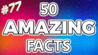 5000 Awesome Facts About Everything  National Geographic [upl. by Richards]