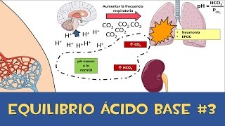 Equilibrio ácido base 3 💉 Amortiguador respiratorio y renal [upl. by Cavill]