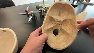 Skull Sphenoid and Ethmoid Bone and their bone markings [upl. by Nmutua639]