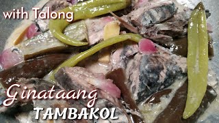 PAKSIW NA TAMBAKOL SA GATA WITH TALONG  Ginataang Tambakol Recipe  Lutong Pinoy [upl. by Richie]