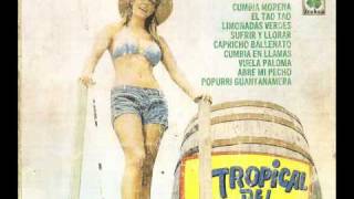 TROPICAL DEL BRAVO PEQUEÑA Y FRAGIL VOL2 1979 [upl. by Eneli834]