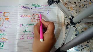 BACTERIAL CONJUNCTIVITIS part 1 MUCOPURULENT CONJUNCTIVITIS in easiest way [upl. by Akehsyt974]