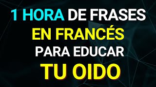 🚀🌍SOLO ESCUCHA ESTO 1 HORA Y PODRAS HABLAR francES COMO NATIVA  APRENDES FRANCES RAPIDO Y FACIL👍 [upl. by Ynney]