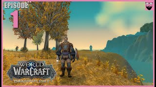 Lets Play World of Warcraft Dragonflight  In 2024  Fresh Start Paladin  Part 1  Chill Gameplay [upl. by Asilim]