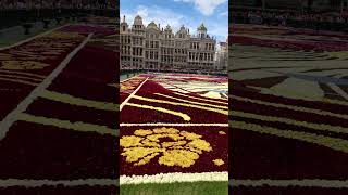 Flower carpet Brussels 2024 [upl. by Ahtelahs]