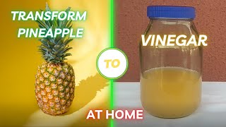 How to Make Vinegar at Home from Pineapple fruit [upl. by Peers]