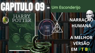 Harry Potter e as Relíquias da Morte ⚡ CAPITULO 9 Audiolivro em PTBR [upl. by Breger883]