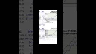 YMAG VS NASDAQ 100 [upl. by Haik]