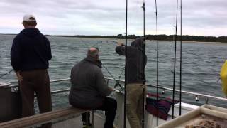 WESTERNPORT FISHING CHARTERS [upl. by Sunil]