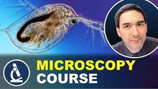 Introduction to microscopy 🔬 MICROSCOPY COURSE [upl. by Nemad]