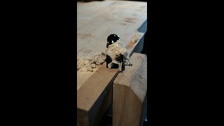 Shorts Woodworking  LieNielsen No 6012 Rabbet Block Plane [upl. by Ettenyl]