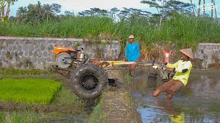 Antri Turun 2 Traktor Sawah Bergantian Masuk Kedalam Lahan Untuk Bekerja [upl. by Neneek]