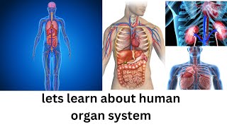 documentry about human organs [upl. by Ziladnerb]