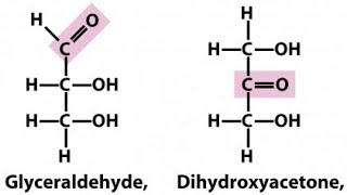 Trioses  Glyceraldehyde and Dihydroxy acetone  Monosaccharides [upl. by Joselyn522]