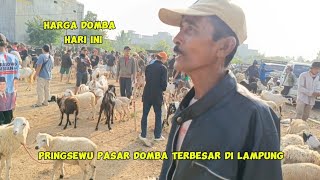 pasaran hari ini di Pringsewu Lampung [upl. by Avrom]