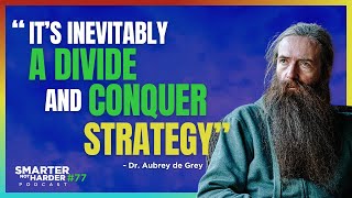 Modern Medicine and AntiAging ft Dr Aubrey de Grey  SNH Podcast 77 [upl. by Yrrok]