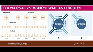 Lecture 19 Polyclonal VS Monoclonal Antibodies [upl. by Repinuj404]