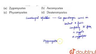 Gametangial copulation conjugation is common in  11  FUNGI  BIOLOGY  ERRORLESS  Doubtnu [upl. by Tunk]