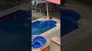 Man VS Sea Lion SEA LION WINS shorts [upl. by Oranneg315]