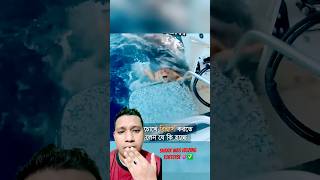 A Shark helps Tortoise 💞✅ BanglaVoiceTV voicebanglatv trending shorts viral [upl. by Sivrad]