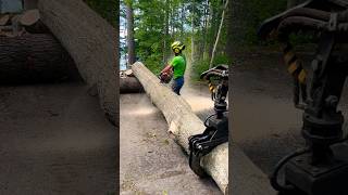 STIHL 500i vs OAK [upl. by Bianka]