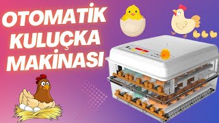 120lik Tam Otomatik Kuluçka Makinası Kurulum ve Tanıtımı [upl. by Lleraj114]