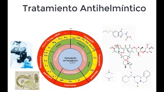 Tratamiento Antihelmíntico Antiparasitarios [upl. by Dre]