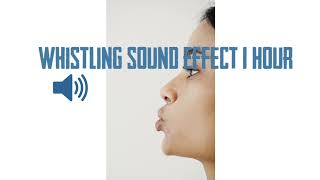 WHISTLING SOUND EFFECT 1 HOUR [upl. by Muhammad]