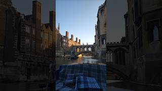 Highlights of river punting in Cambridge riverpunt Cambridge cambridgeuniversity riverpunting [upl. by Wilscam]