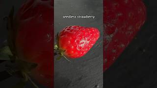 Seedless Strawberry [upl. by Nwahsak]