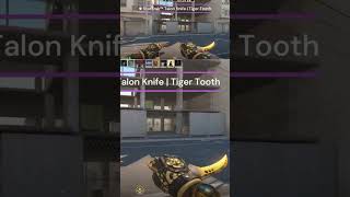 CS2 ★ StatTrak™ Talon Knife  Tiger Tooth Showcase [upl. by Oiracam]