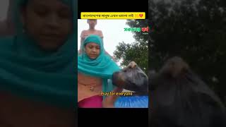 বন্যায় বাংলাদেশের মানুষের অবস্থা অনেক খারাপ [upl. by Narhet]