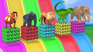 Long Slide Game With Cow Elephant Gorilla Lion Buffalo TRex  Funny 3d Animals  3d Animal Game [upl. by Ientirb]