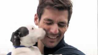 David Gandy and Battersea Dogs amp Cats Home [upl. by Lyrem]